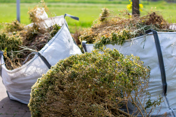 Best Full-Service Junk Removal  in Chico, CA